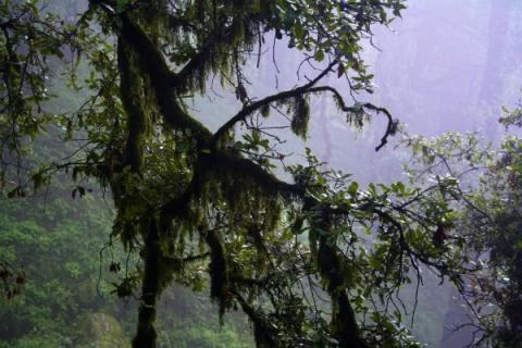 Himalaj