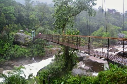 Cestou k živému mostu, Meghalaya