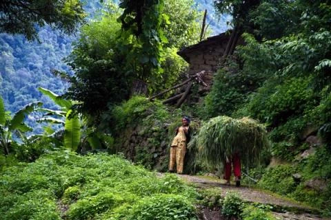 Stezka Uttarakhand