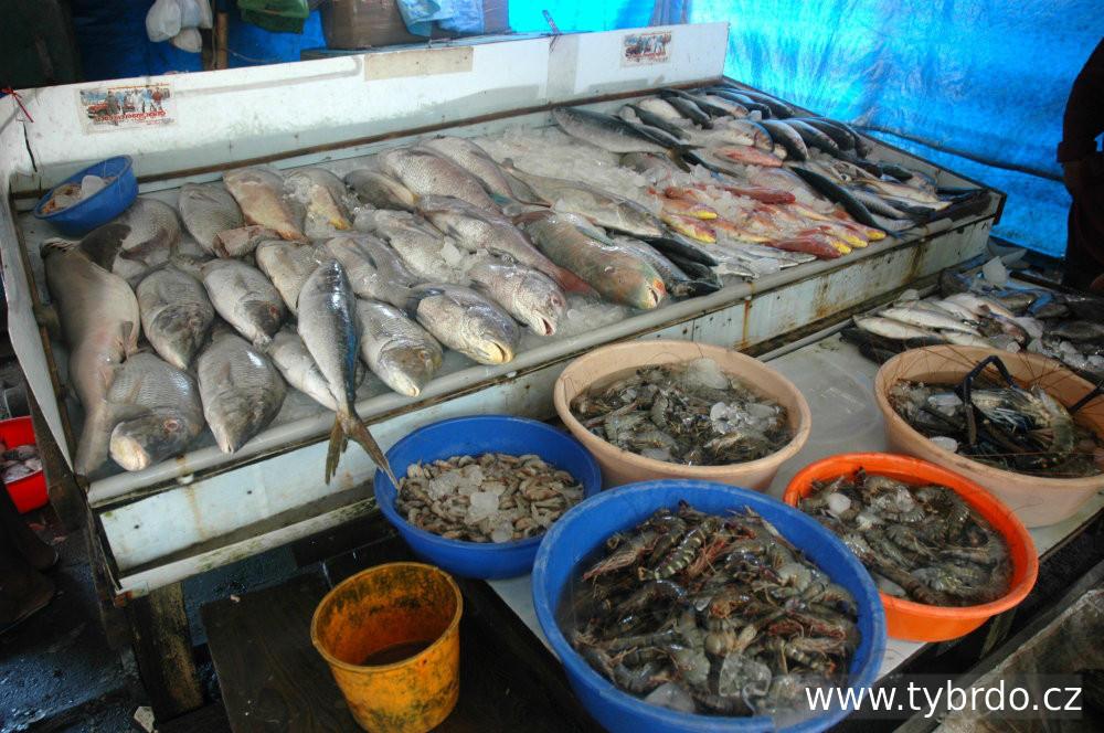 Rybí trh v jihoindickém Kočinu