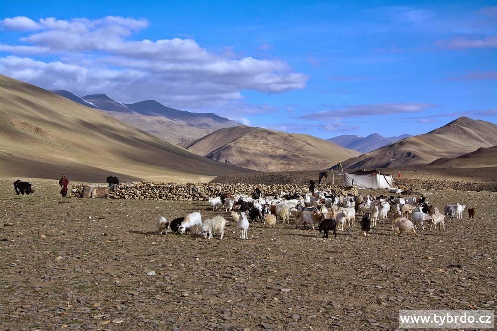 pastvina Rajung Karu a nomádští pastevci