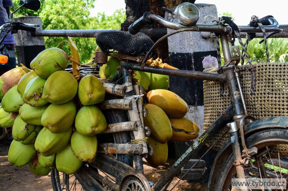 Takto se prodávají zelené kokosáky přímo u silnice