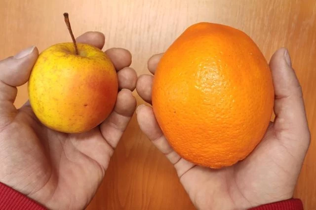 Strojové učení pro malé děti - naučili jsme systém rozpoznat jablko a pomeranč